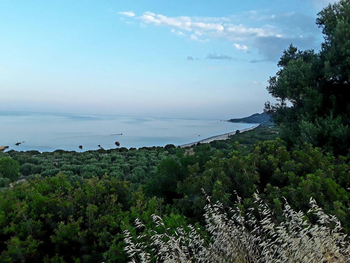 Athanasios Tsoumas Apartments Καστροσυκιά Εξωτερικό φωτογραφία