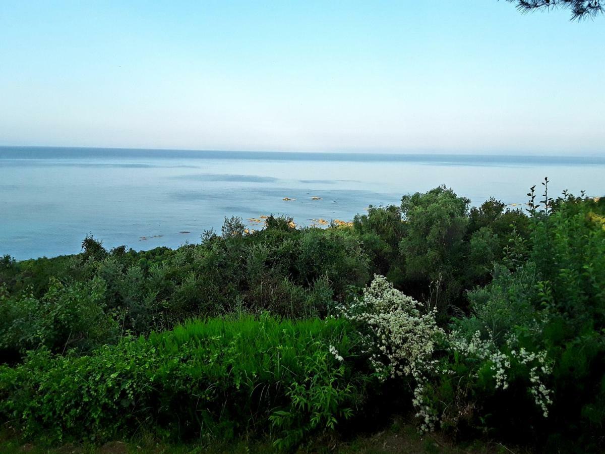 Athanasios Tsoumas Apartments Καστροσυκιά Εξωτερικό φωτογραφία