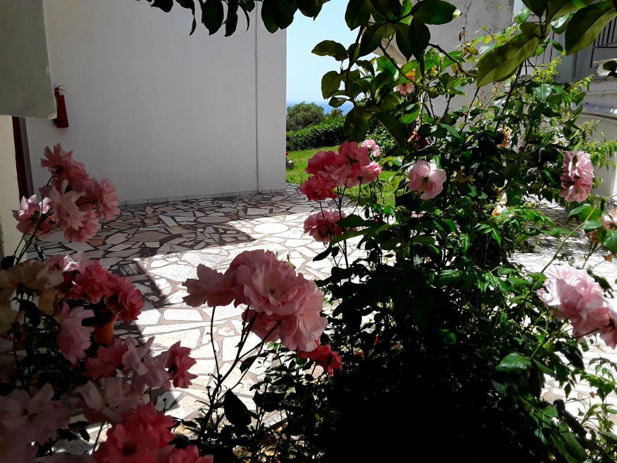 Athanasios Tsoumas Apartments Καστροσυκιά Εξωτερικό φωτογραφία